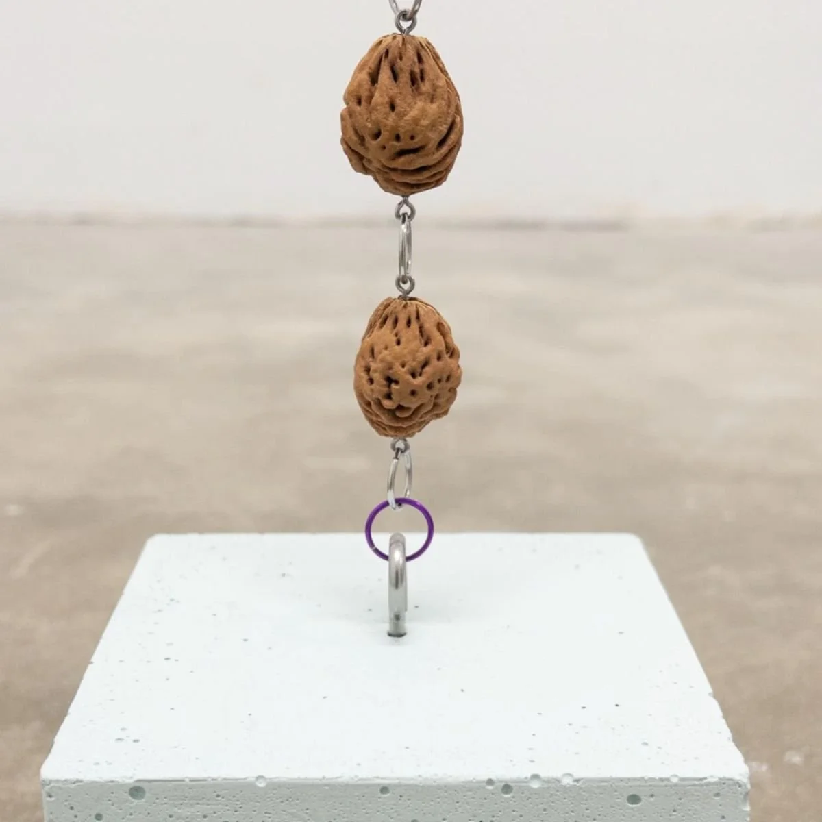 Claire Nereim: Dust in the door @ SAFEMART SF