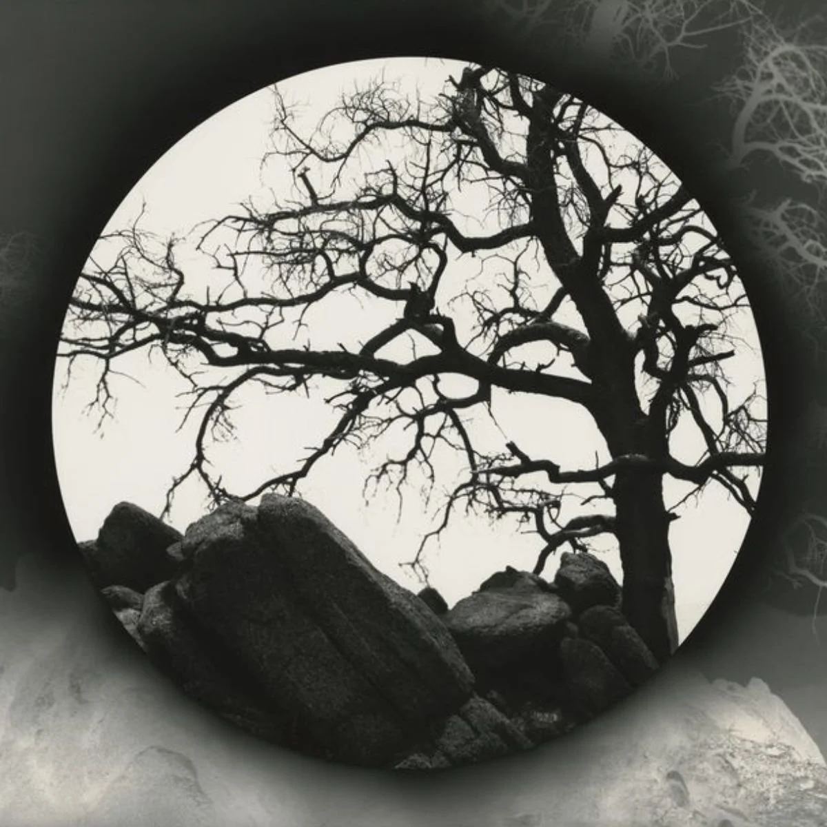 Chris McCaw: Reversals and Revolutions - Opening Reception @ Haines Gallery