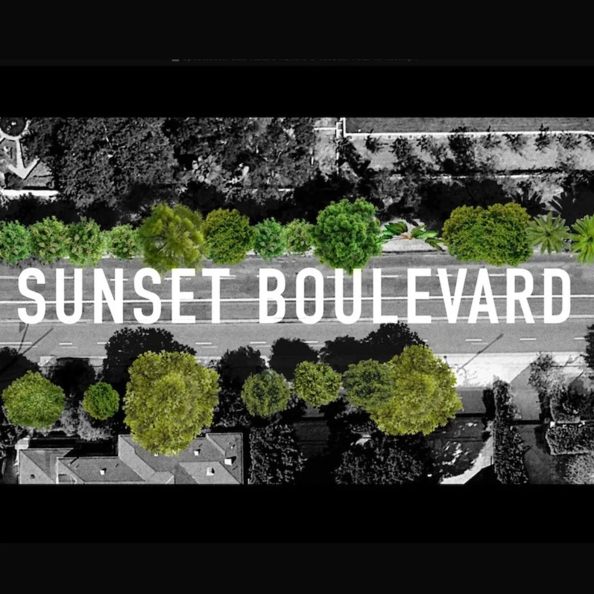 Ken Goldberg and Tiffany Shlain: Speculation, Like Nature, Abhors a Vacuum @ Catharine Clark Gallery