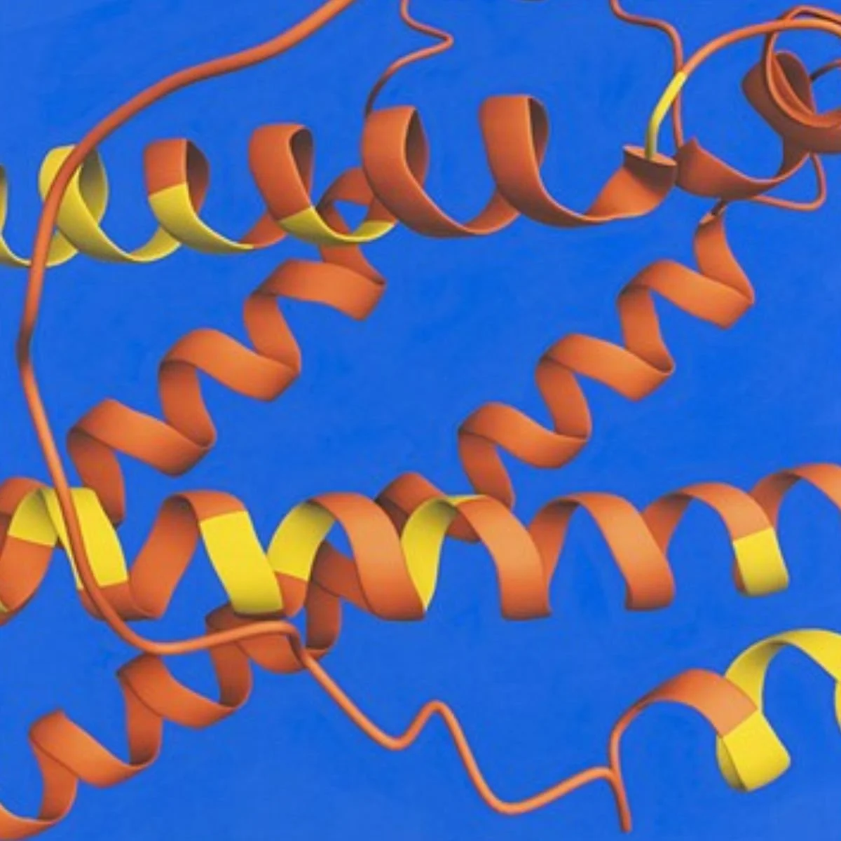 Instability at the Core - Opening Reception @ The Space Program