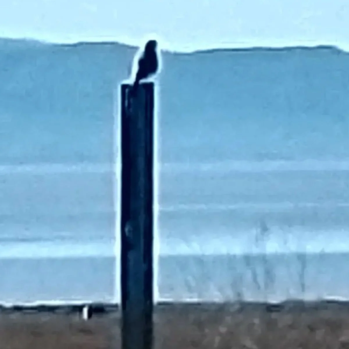 Nathan Wheeler: Three Winslow Pieces - Performance @ Winslow House Project