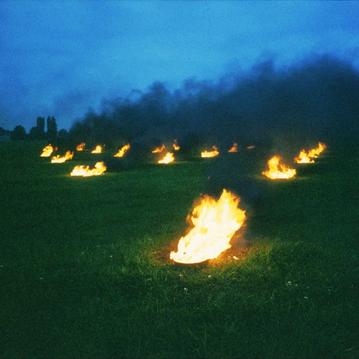 Do You See What I See? - Short Film Screenings @ Fort Mason Center
