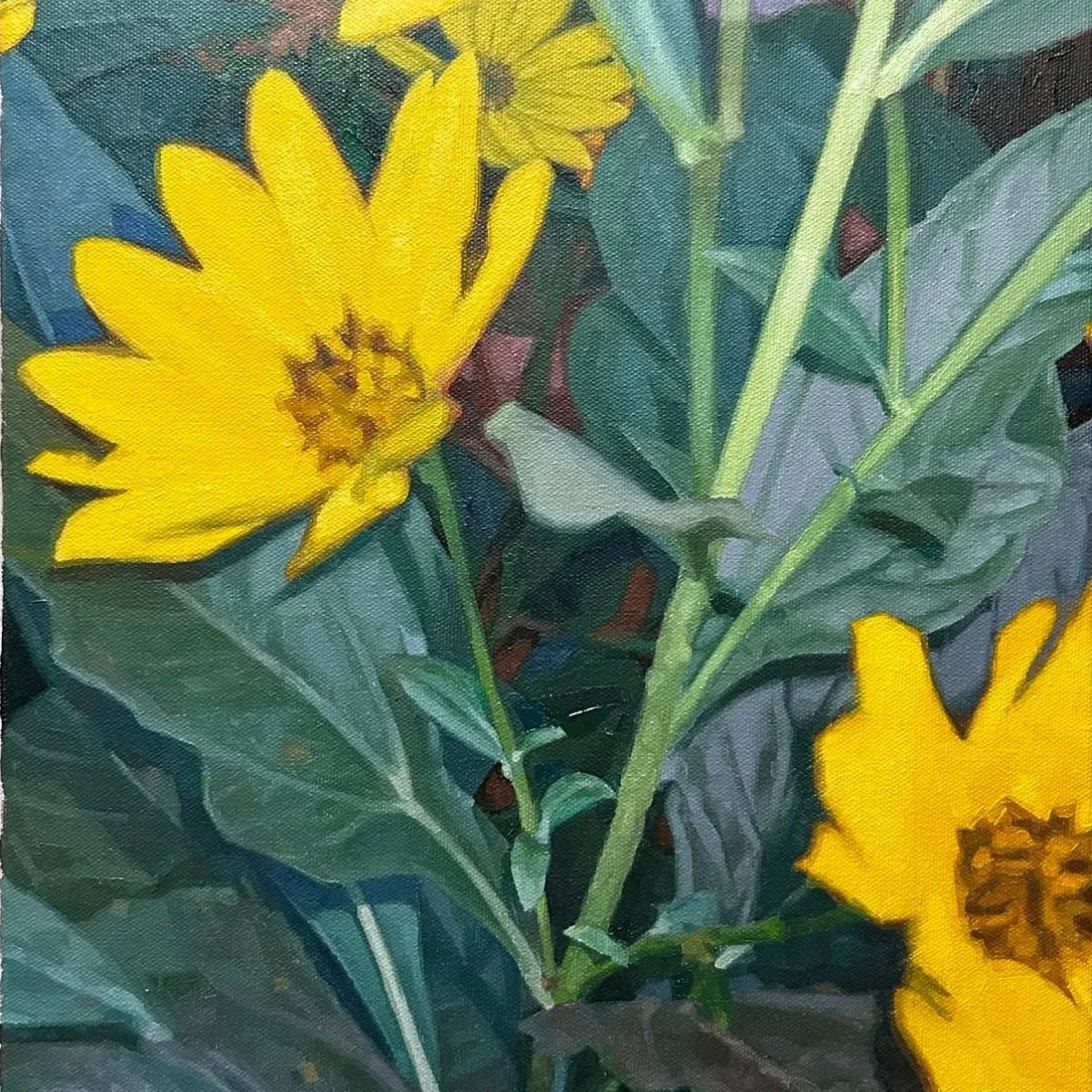 Daniel Abrigo: Dream Sequence @ Eleanor Harwood Gallery