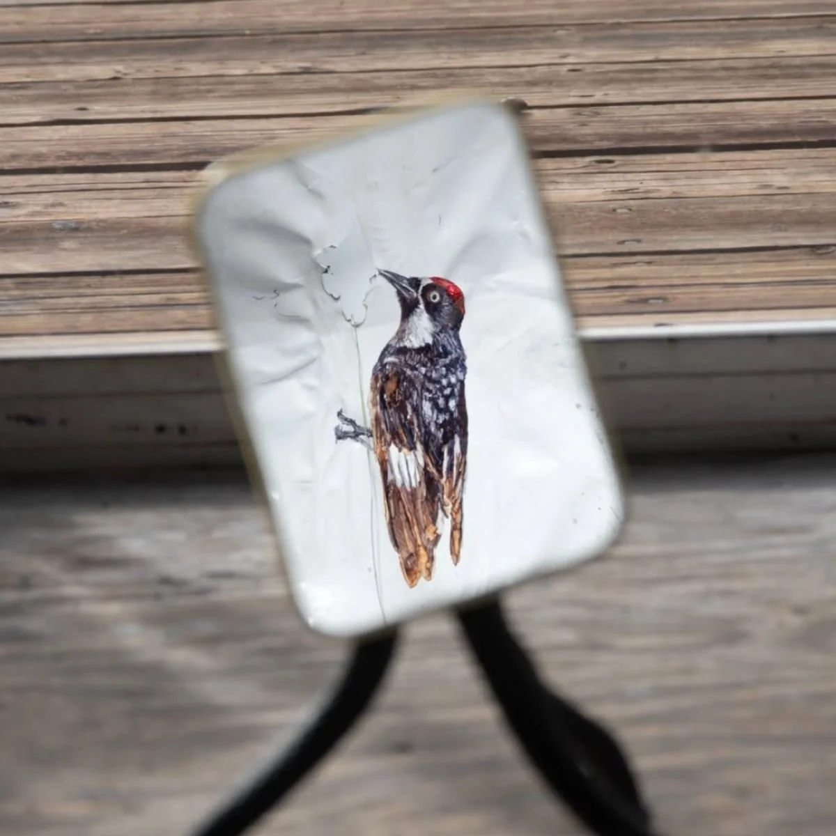 Alicia Escott: Insulation - Closing Celebration @ Your Mood Projects + Lucky Break Studios