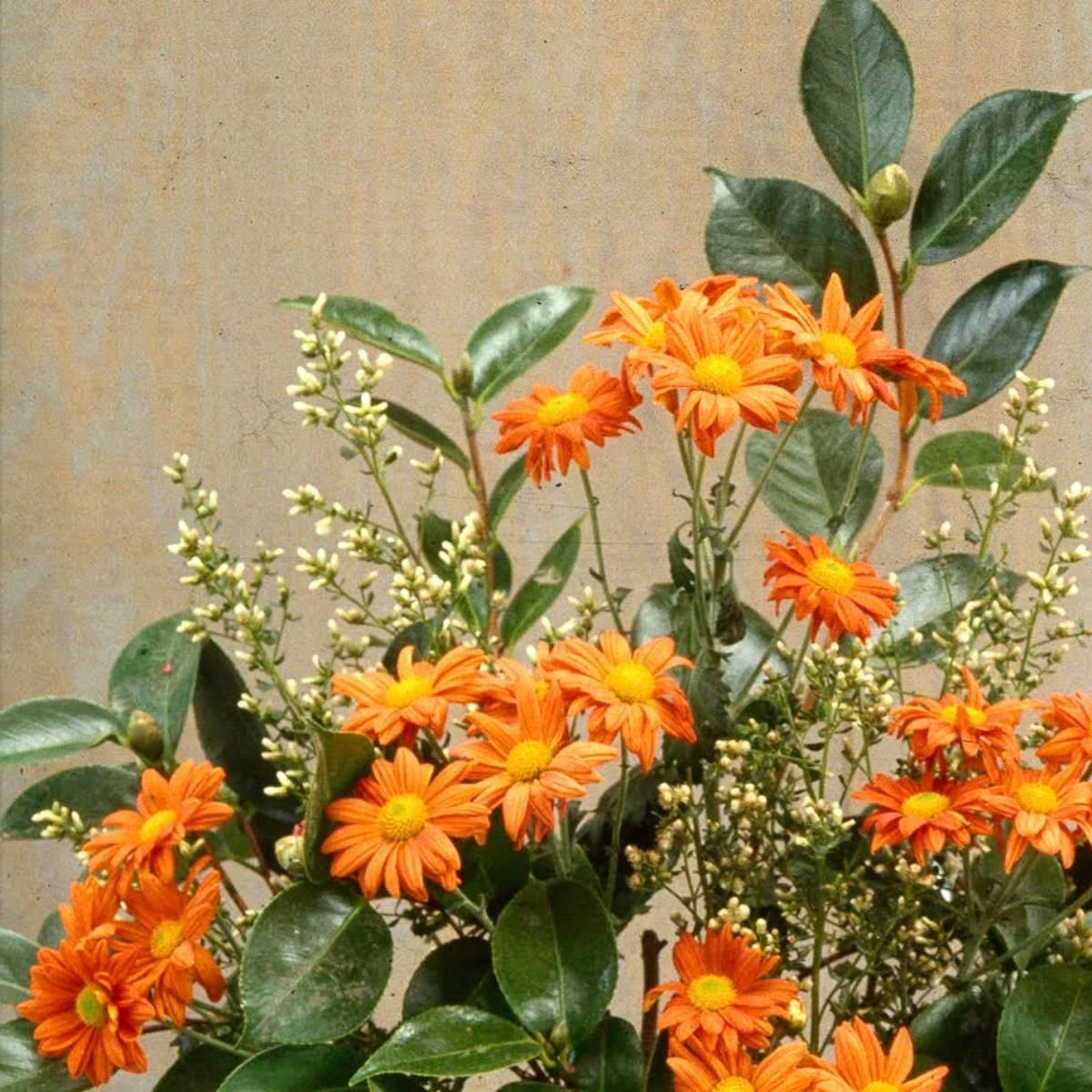 Matt Borruso: Pictures - Opening Reception @ Et. al 