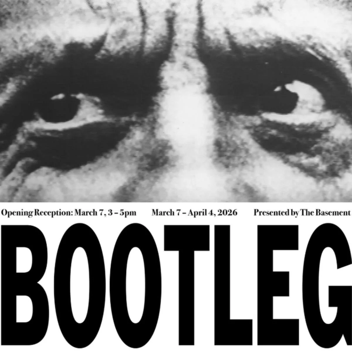 Bootleg - Opening Reception @ Bass &amp; Reiner Gallery