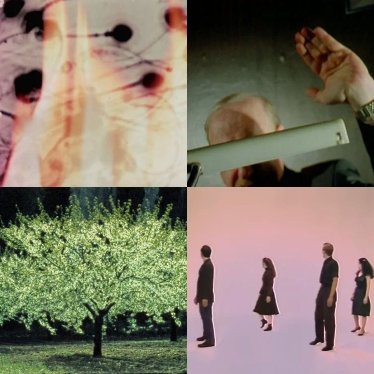 Red Dot Film Series: Zachary Epcar @ Winslow House Project