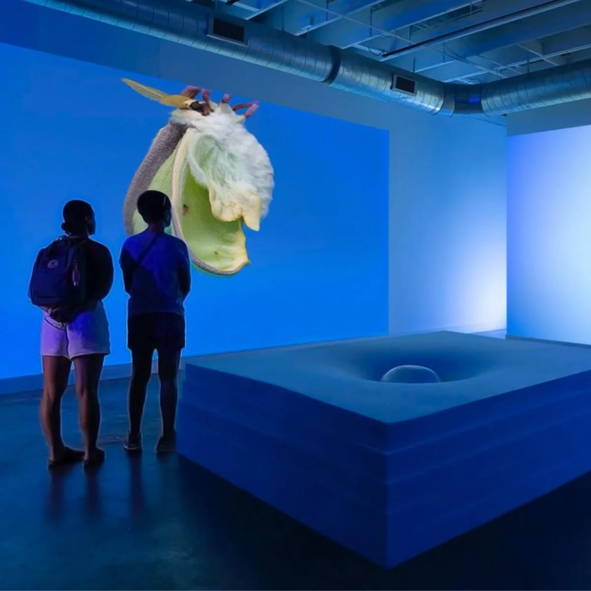 Supper at Headlands + Studio Visits with Artists-in-Residence Colleen Blackard &amp; Virginia Montgomery @ Headlands Center for the Arts