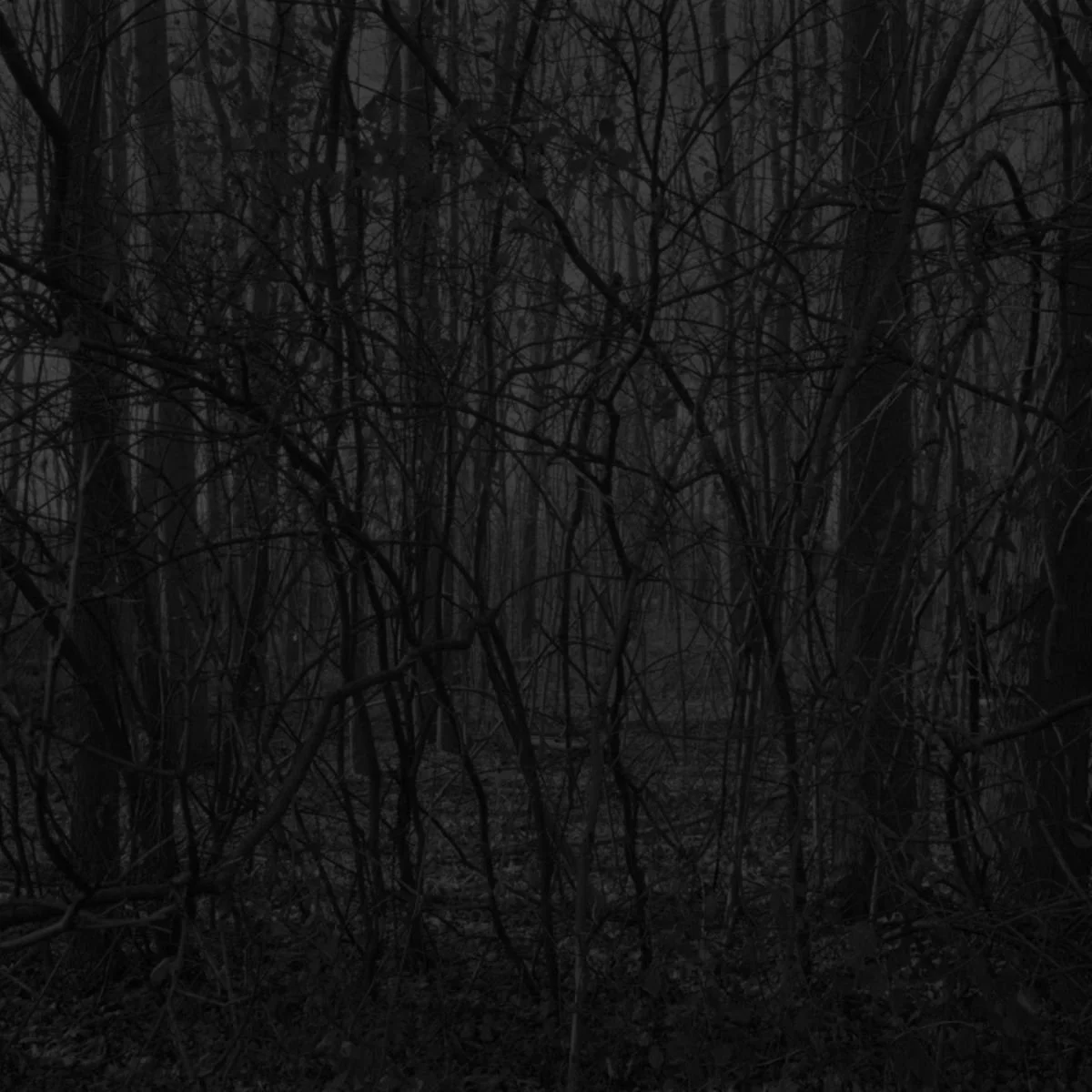 (Re)Constructing History: Live - Performance @ SFMOMA