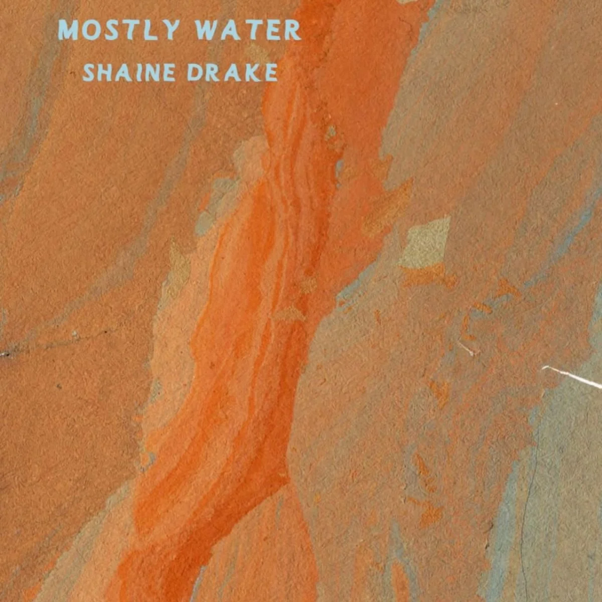 Shaine Drake: Mostly Water - Opening Reception @ Park Life Gallery