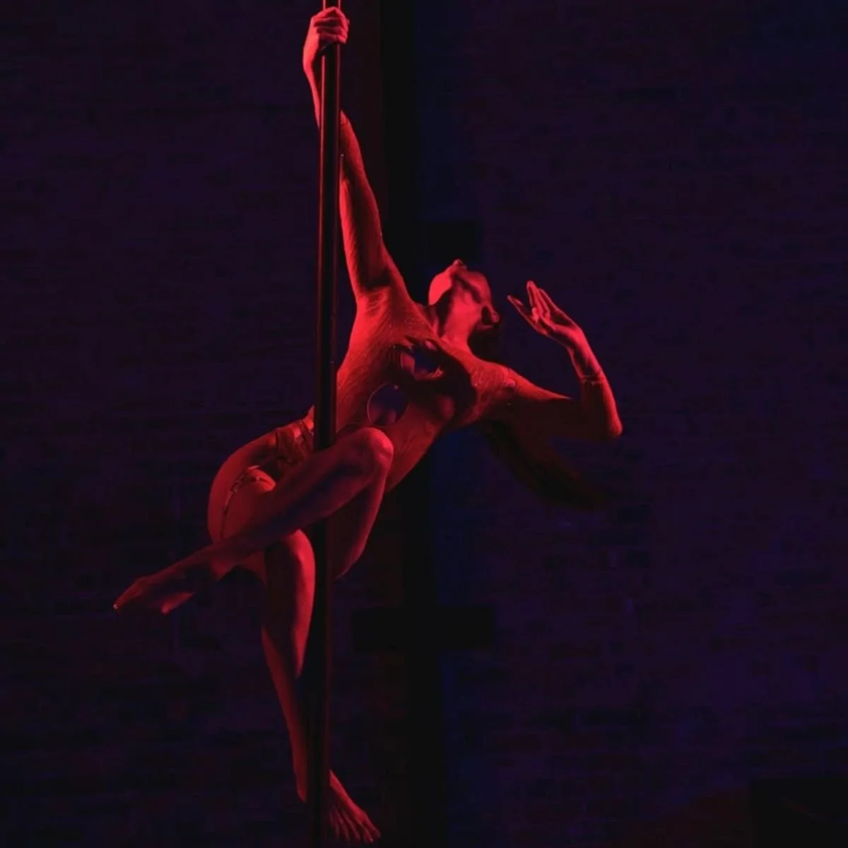 You Have To Be There: A Pole & Karaoke Fundraiser Party @ Slash