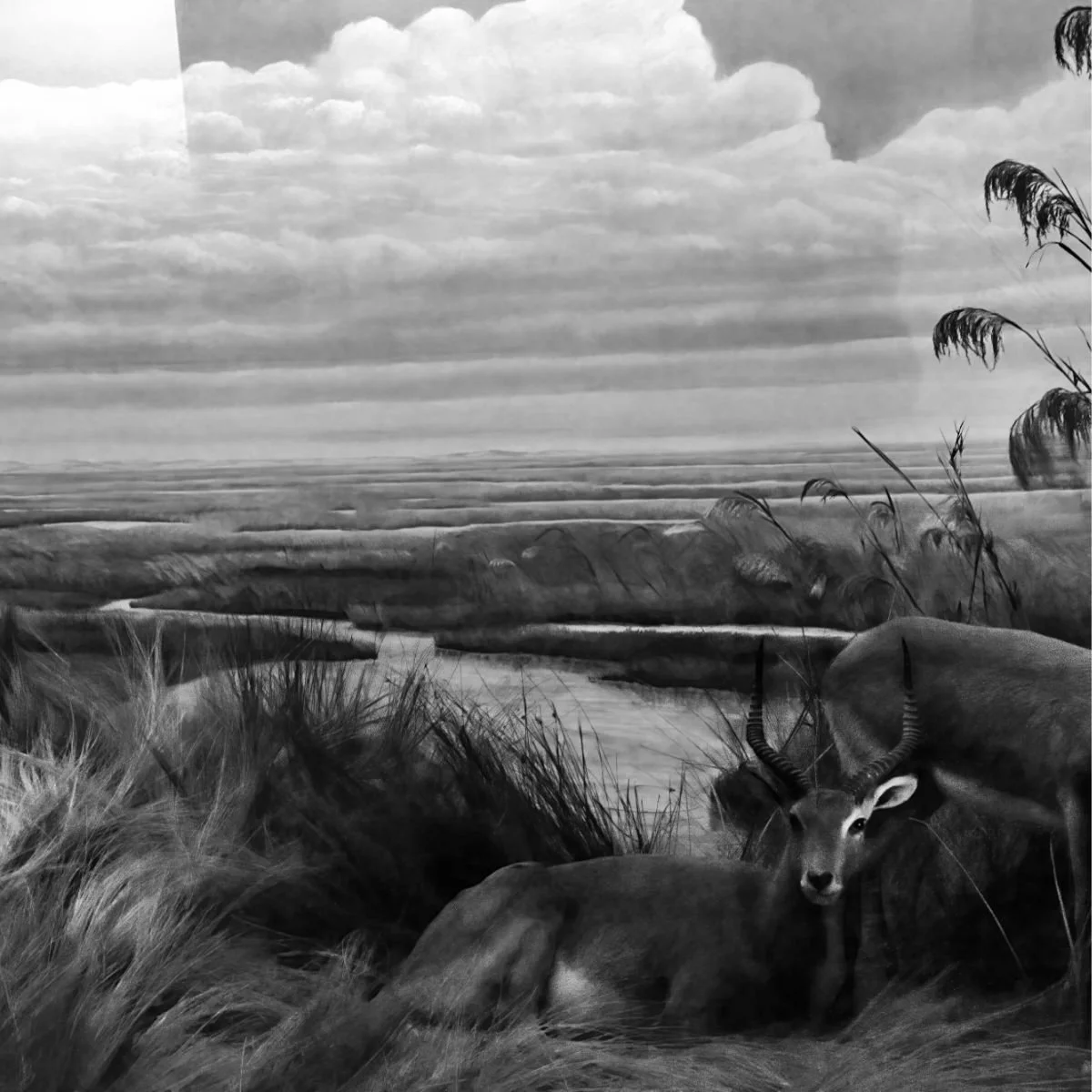 Jane Ivory: A Language of Respect - Opening Reception @ Nelson Duni 