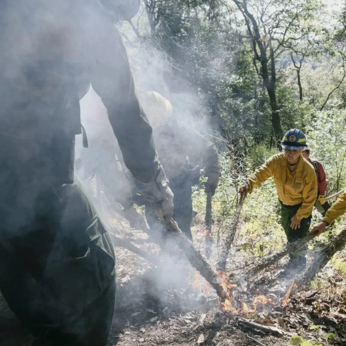 Cultural Burn Practices &amp; the Future of Fire — Conversation &amp; Discussion @ OMCA