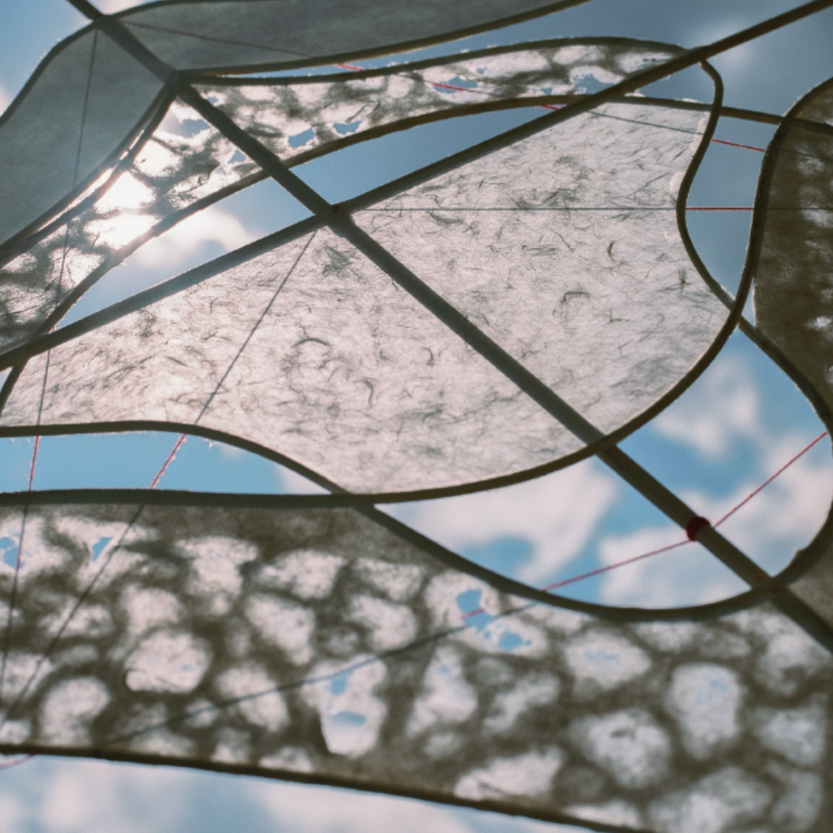 Luke-Thomas Henderson: Kaimana — Opening Reception @ Incline Gallery
