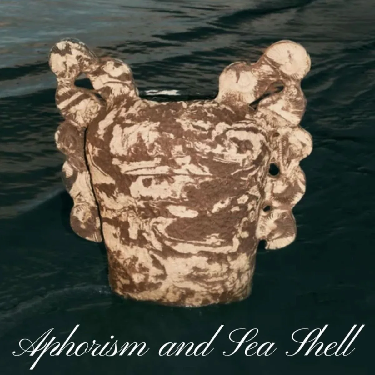 Aphorism and Sea Shell — Opening Reception @ Strike-Slip Gallery 