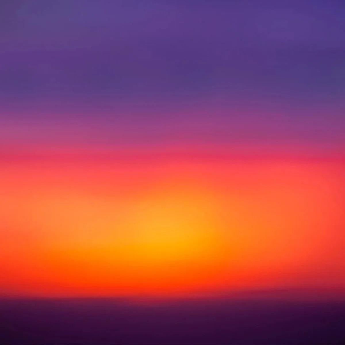 Arthur Drooker: Twilight — Opening Reception @ Themes+Projects 