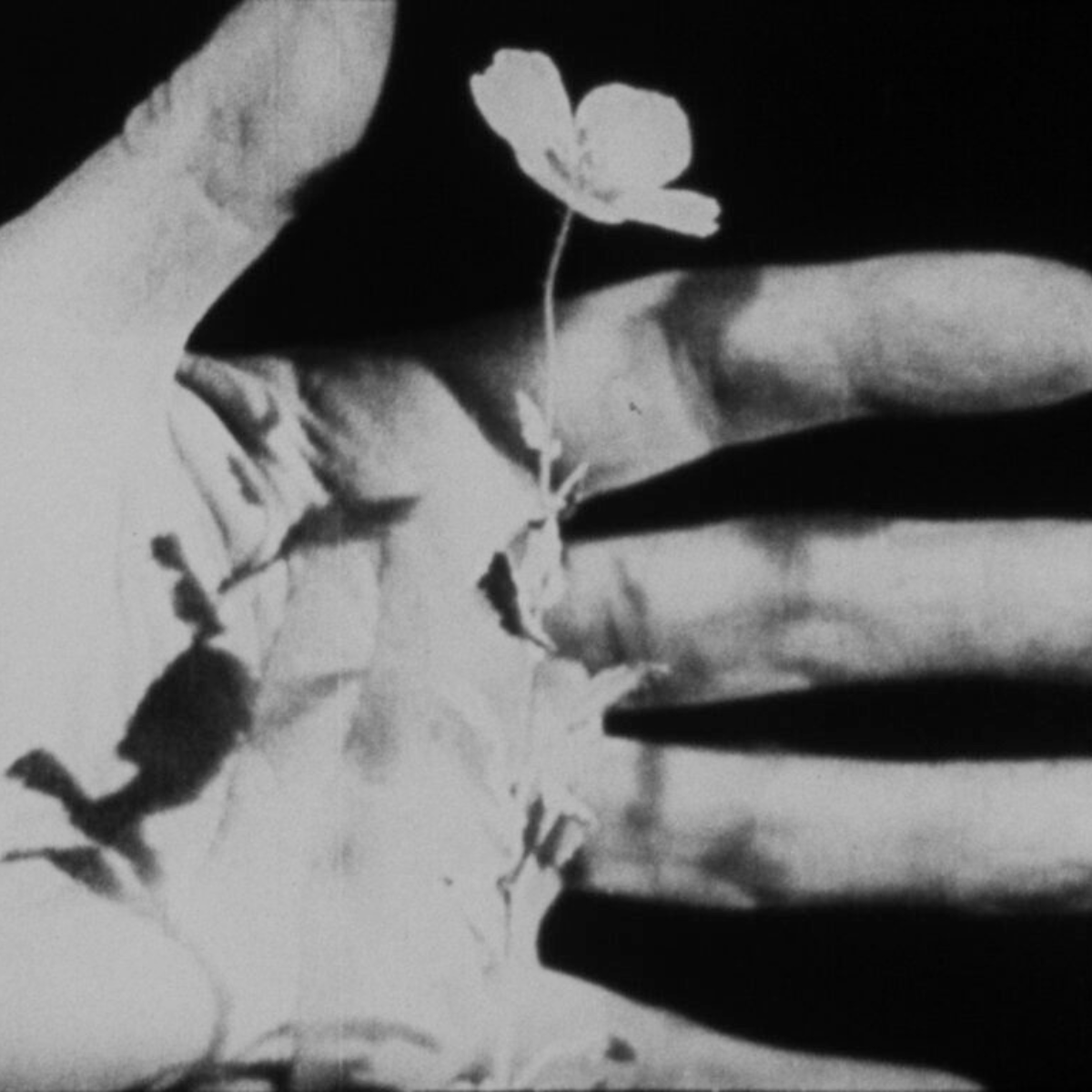 Michael Wallin: Outside In — Screening, Co-presented by Canyon Cinema @ SFMOMA