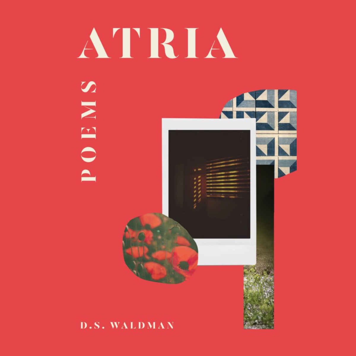 Atria: Live — An evening of immersive performance and poetry @ SFMOMA