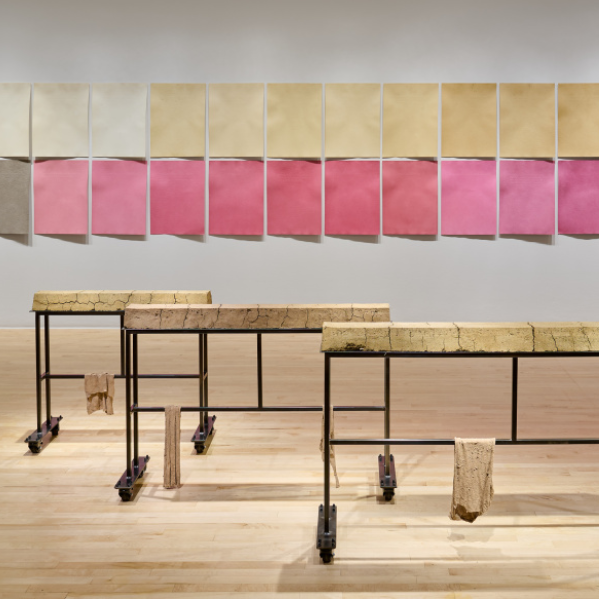 Christine Howard Sandoval: Move the Plot @ San Jose Museum of Art 