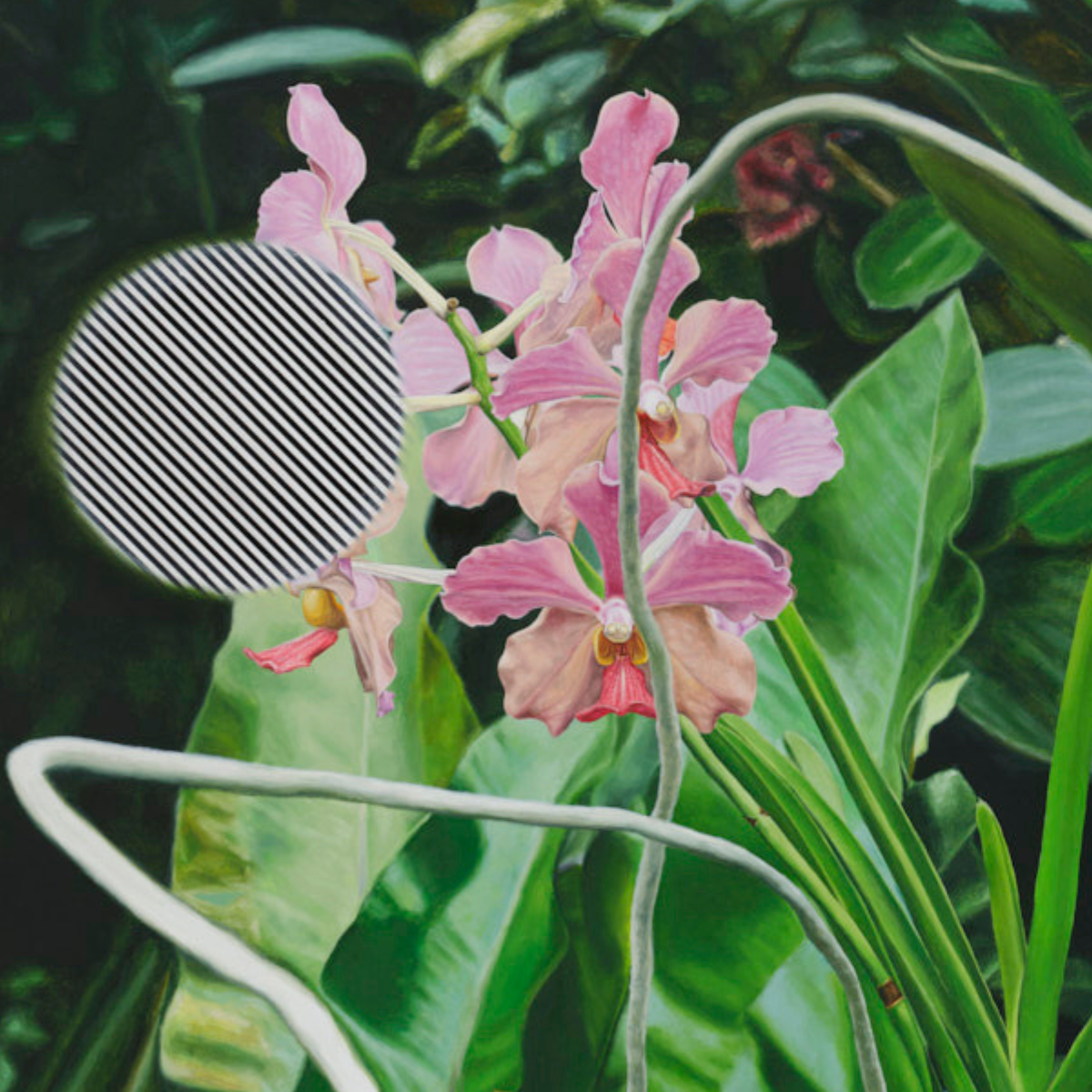 A Roving Perspective: Mukherjee at Wendi Norris, Hoeber and Osborne at Silverman