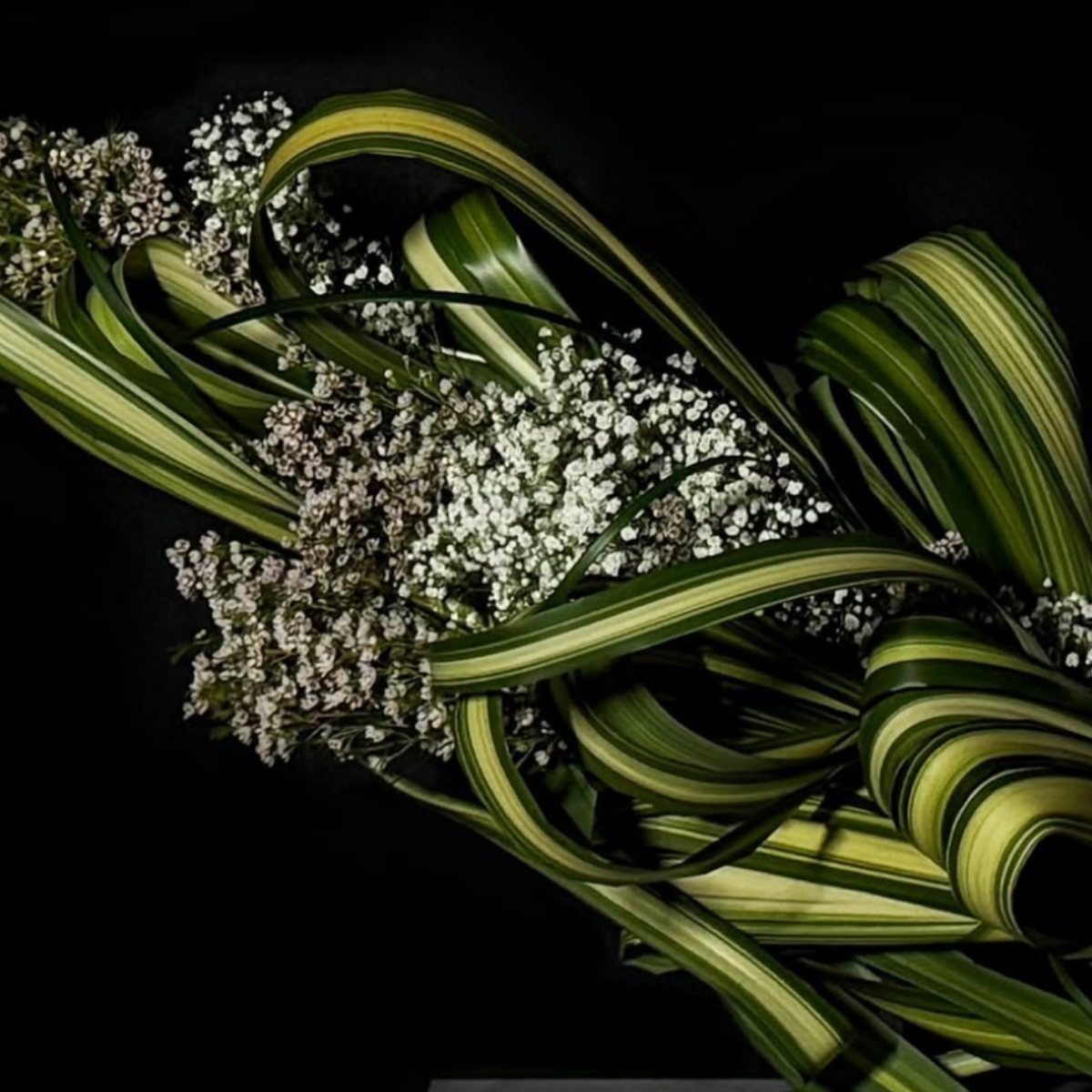 When Sculptures Come Alive: Living Botanical Sculpture with Peter Sun @ Arion Press