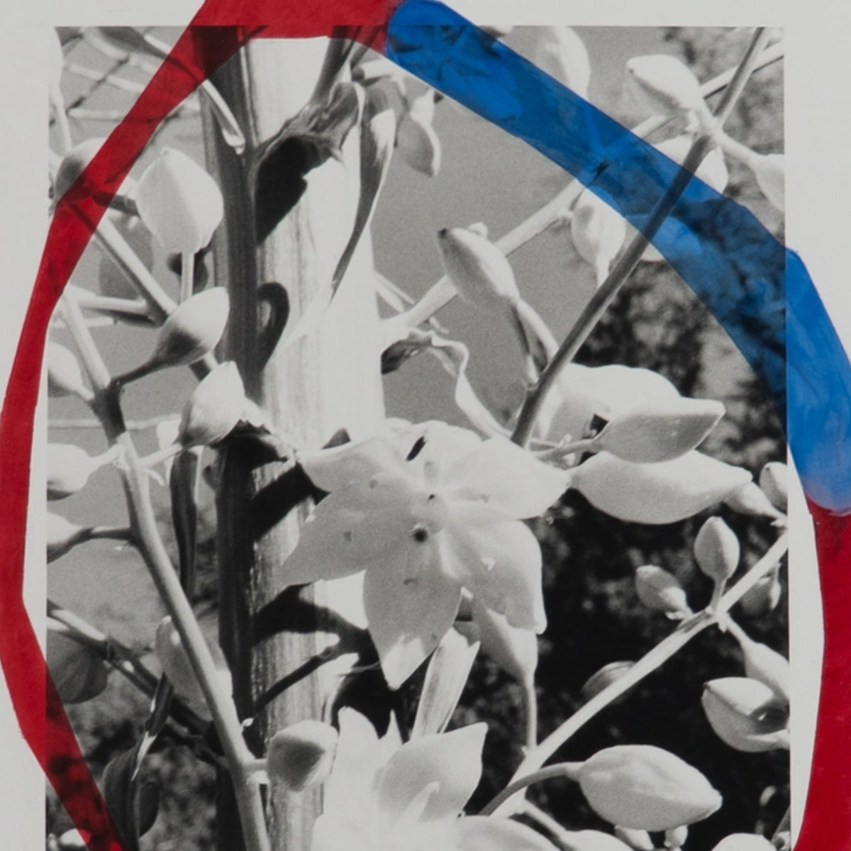 Reviewed: Syd Abady &amp; Elizabeth Herring et al. @Climate Control
