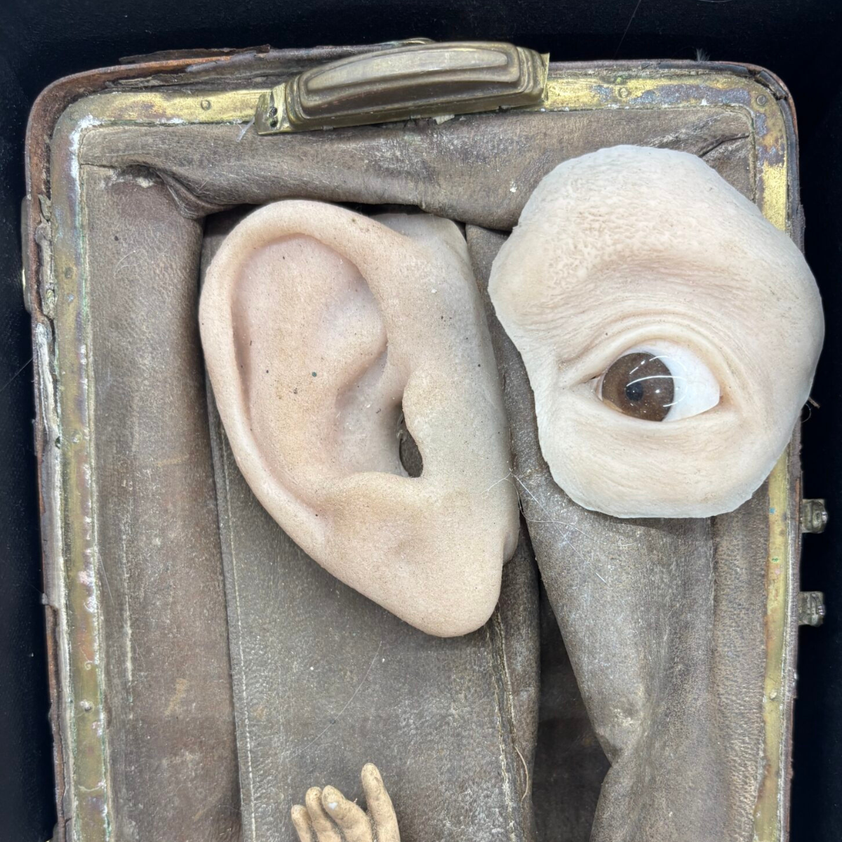 David Best: Eyes and Ears — Opening Reception + Artist Conversation @ di Rosa Napa 
