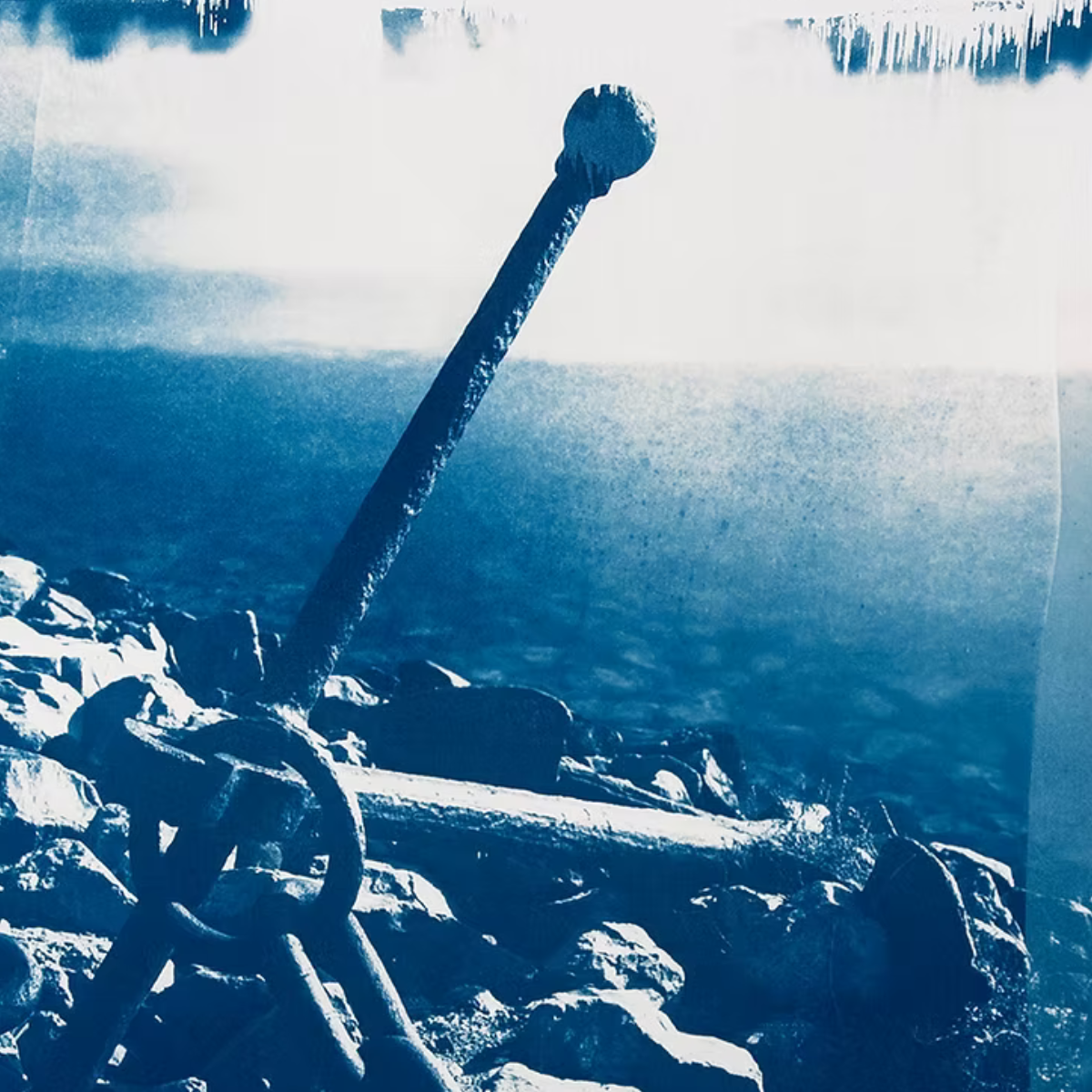 Sea/Change — Opening Reception @ Dream Farm Commons 