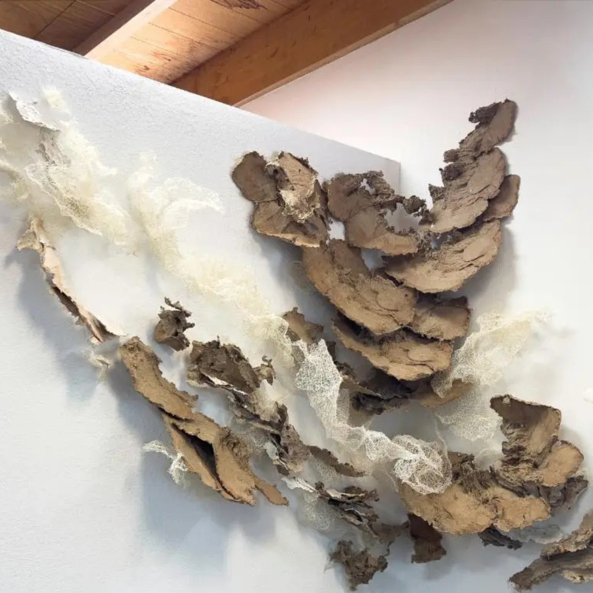 Rainey Straus: re(Composing) — Opening Reception @ Mercury20 (Copy)