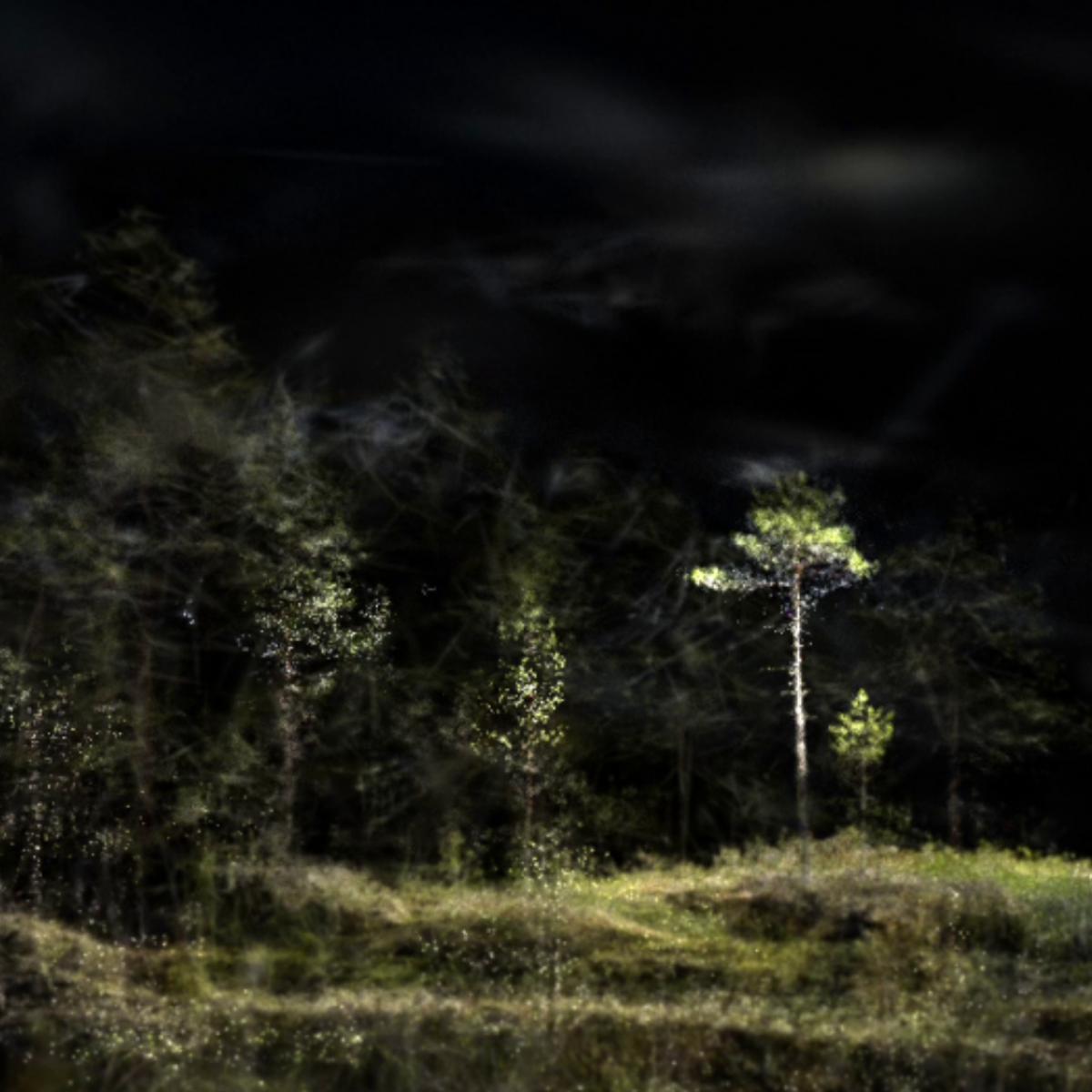Pierce Warnecke and Matthew Biederman: Phytomorphic Topologies @ Gray Area
