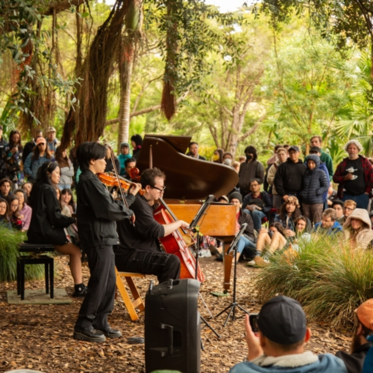 Flower Piano @ San Francisco Botanical Garden