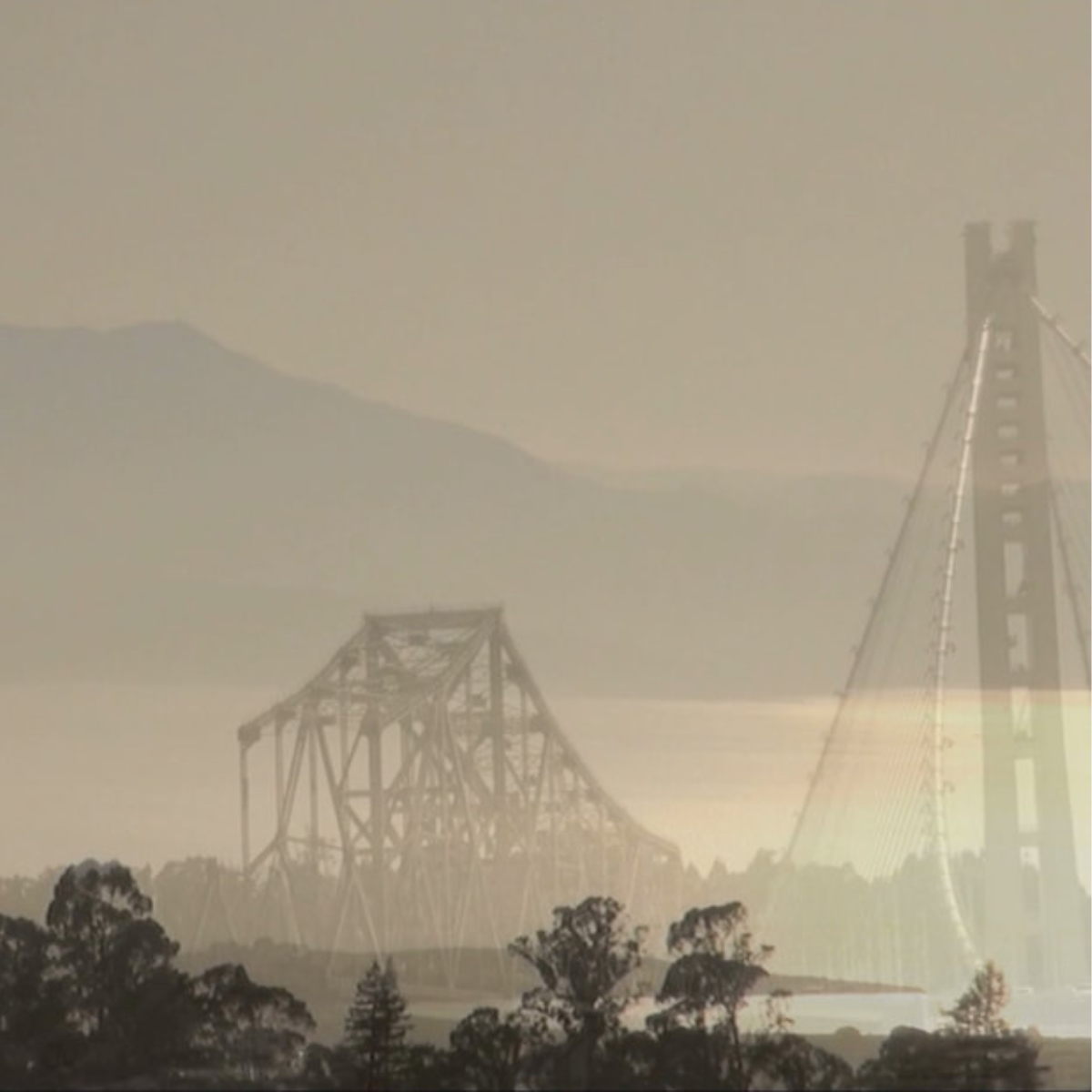 Peter d’Agostino: World Wide Walks / SFBay @ Transmission Gallery