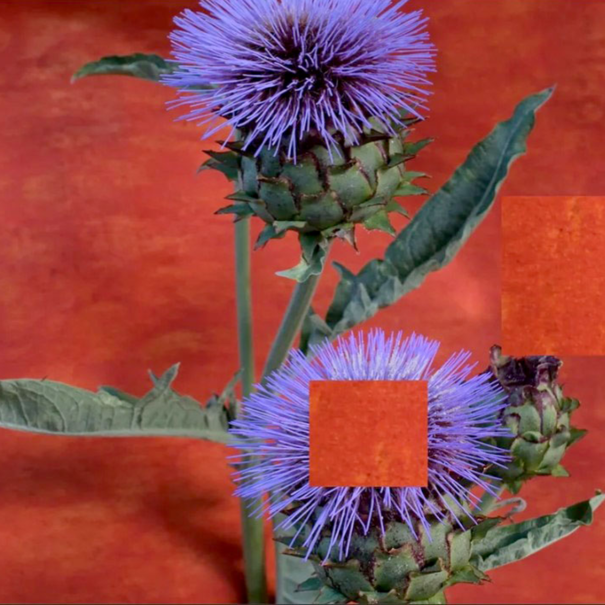 Muzae Sesay &amp; Alexcia Sundra: Attentive Earth | Presented By FOR-SITE — Opening Reception @ The Guardhouse at Fort Mason Art Center 