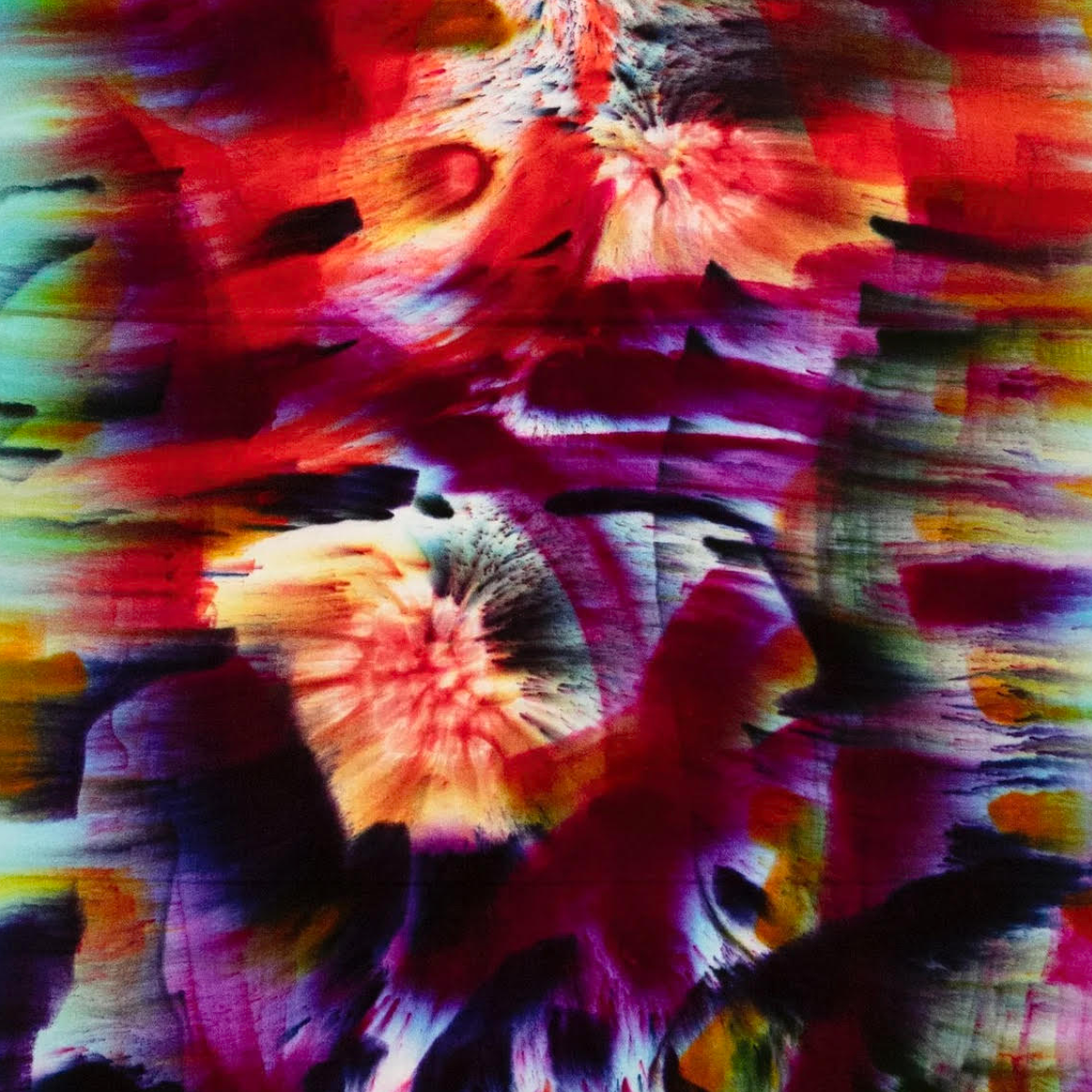 Live the Moment Light — Opening Celebration @ Palo Art Center 