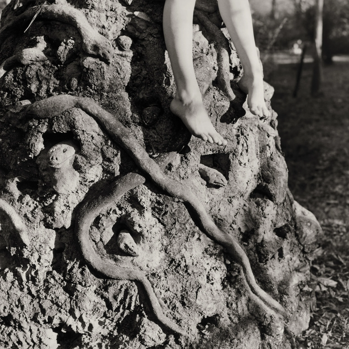 Elijah Gowin in Conversation with Emmet Gowin &amp; Edith Morris @ PhotoAlliance