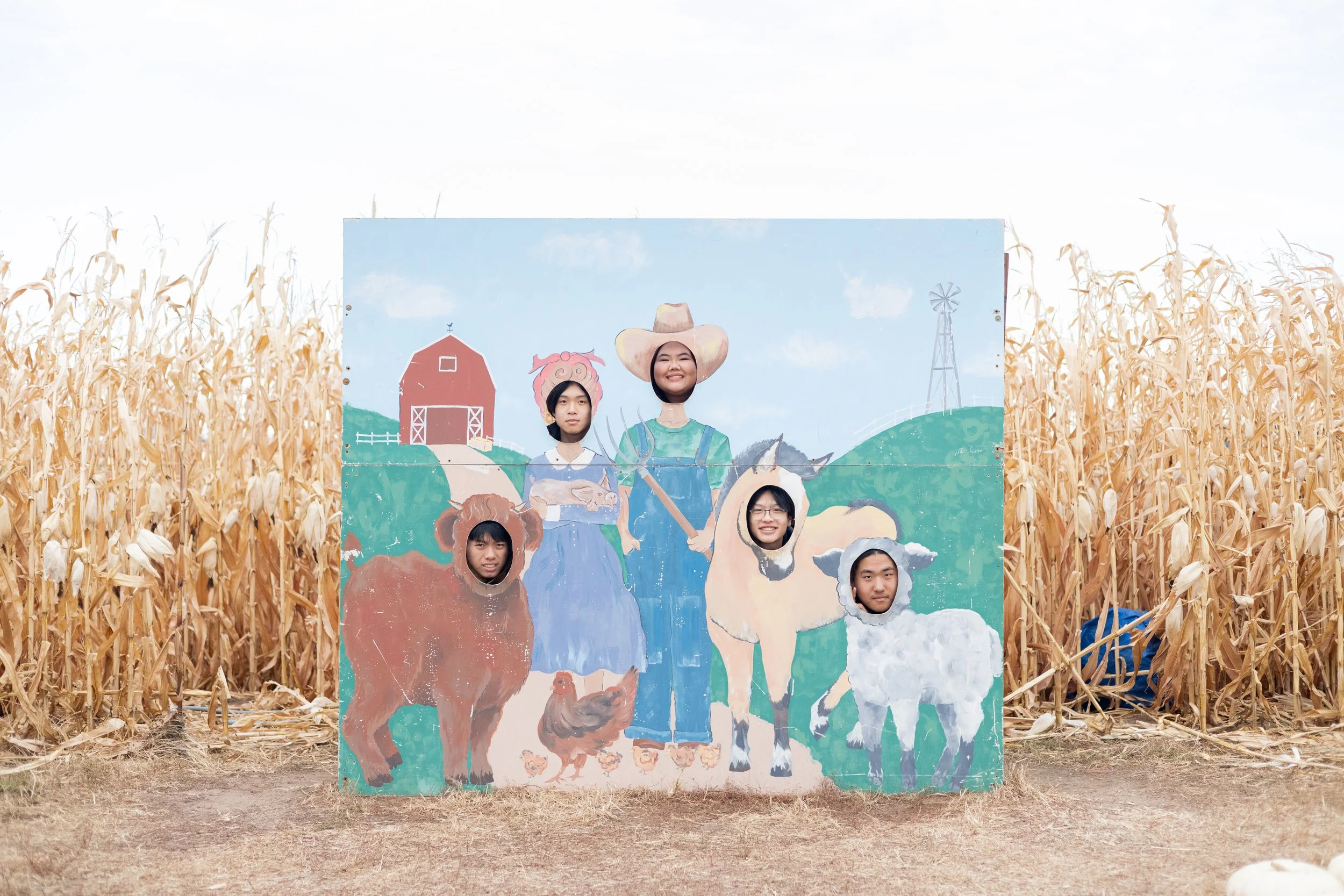 Lena & Friends Pumpkin Patch