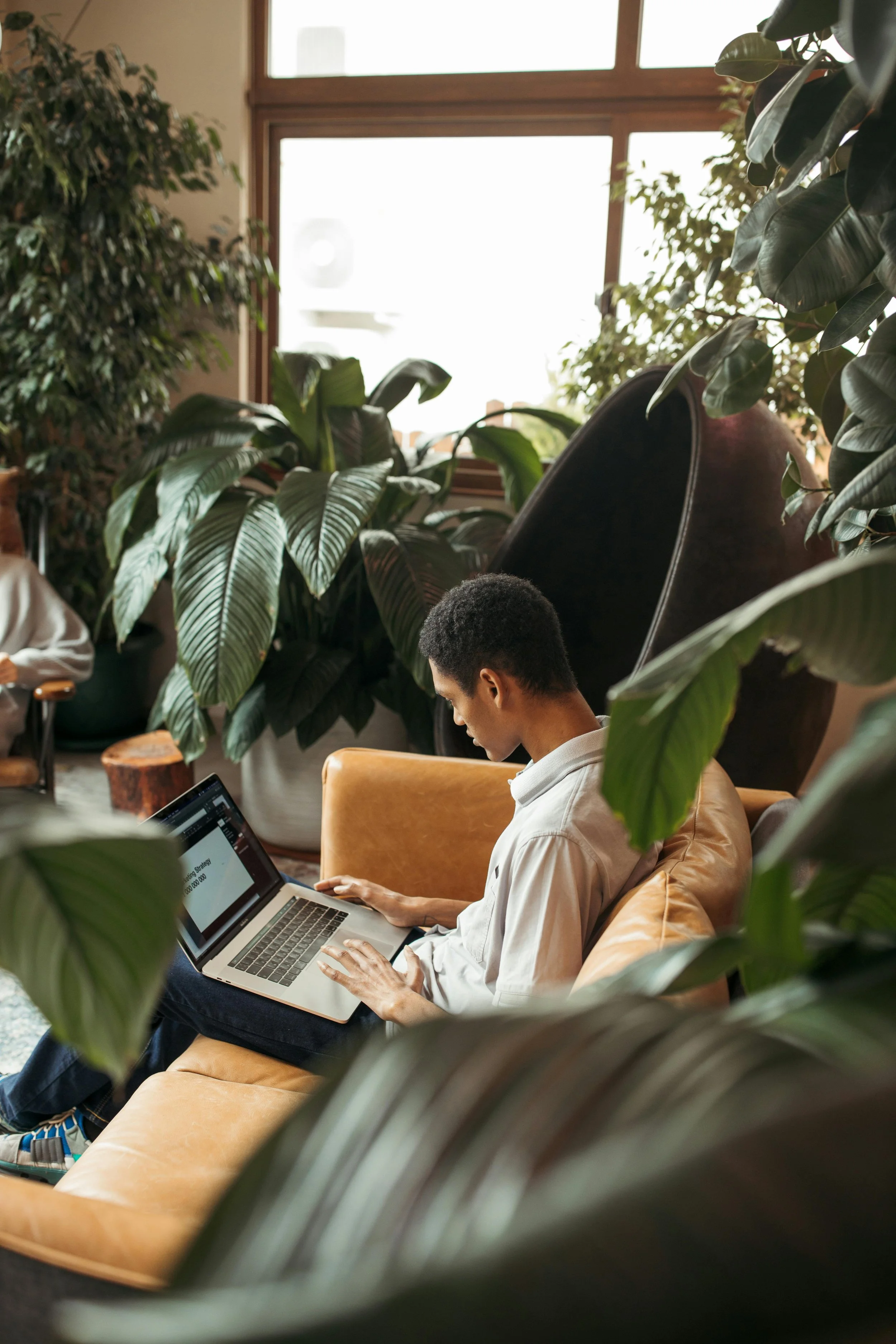 Young man working on laptop in a cozy, plant-filled indoor space with large windows and comfortable seating.