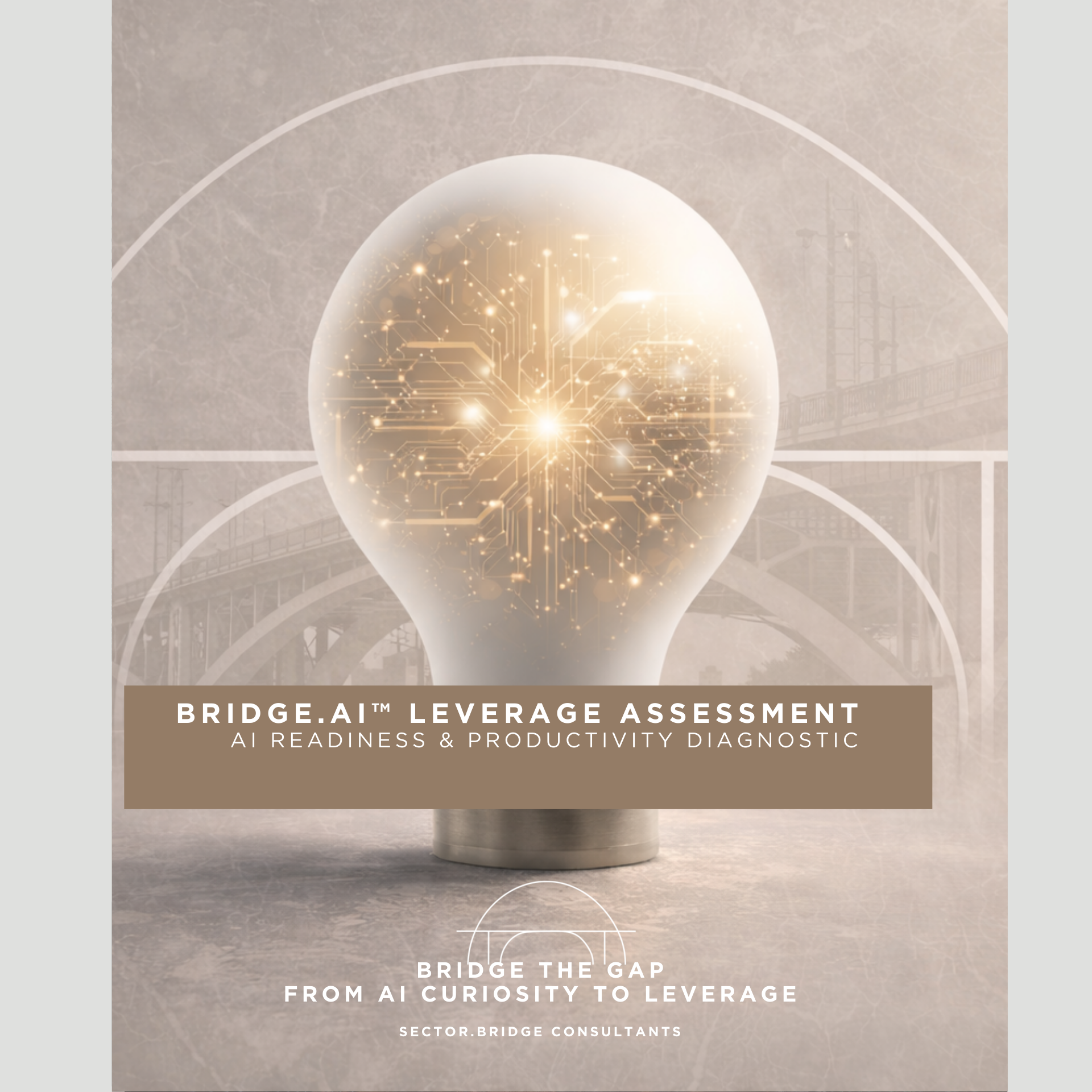 BridgeAI™ Leverage Assessment: AI Readiness & Productivity Diagnostic [Brochure]
