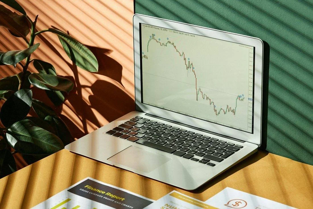 Laptop beside a plant in warm sunlight