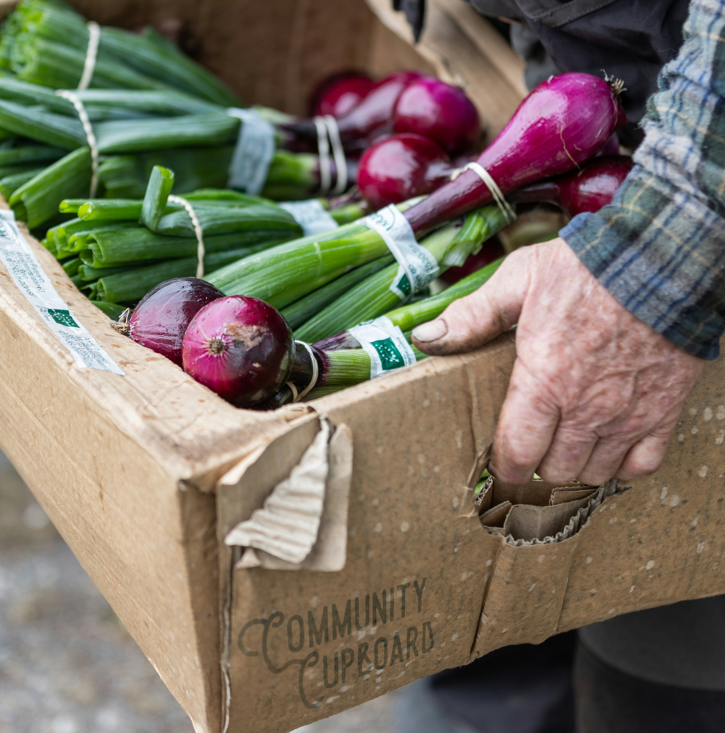 Brush Community Cupboard