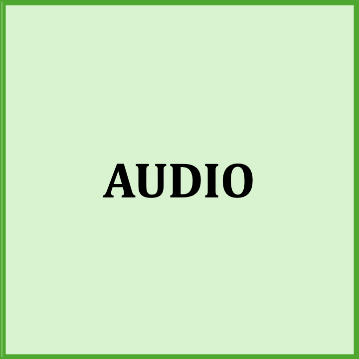 Green background with a darker green border and the word 'AUDIO' in large black font in the center.