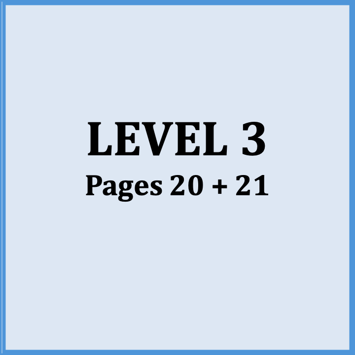 Page indicating Level 3, pages 20 and 21.