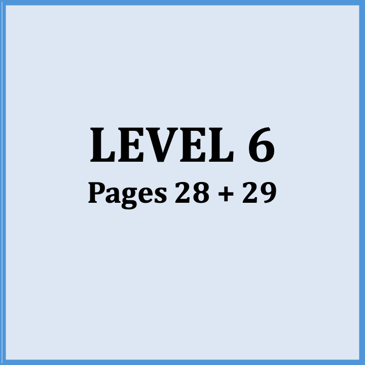 An instructional slide showing 'LEVEL 6' and 'Pages 28 + 29' for a course or book.