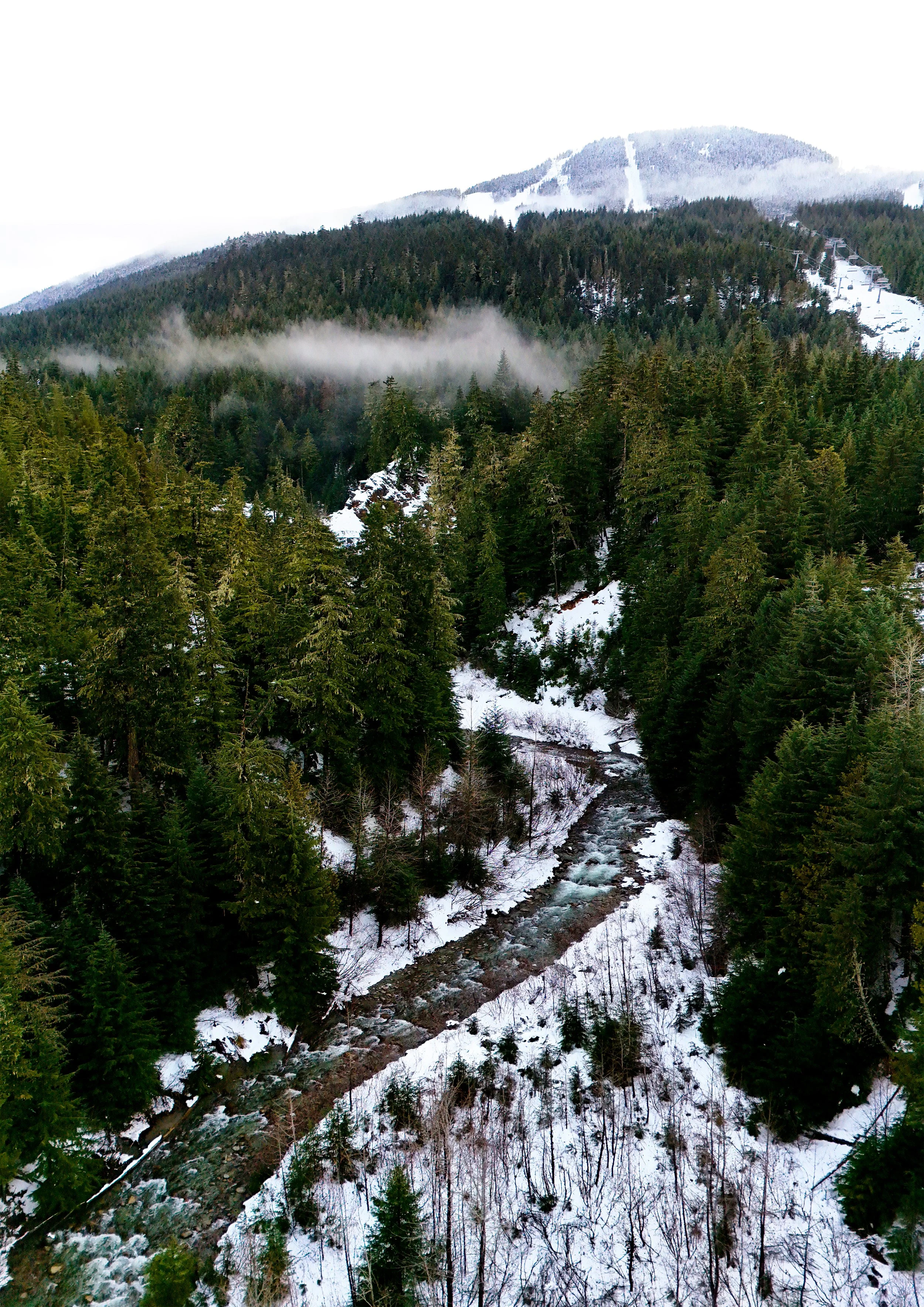 A snow-covered mountain landscape with dense evergreen trees, a flowing river, and mist or low clouds in the background.