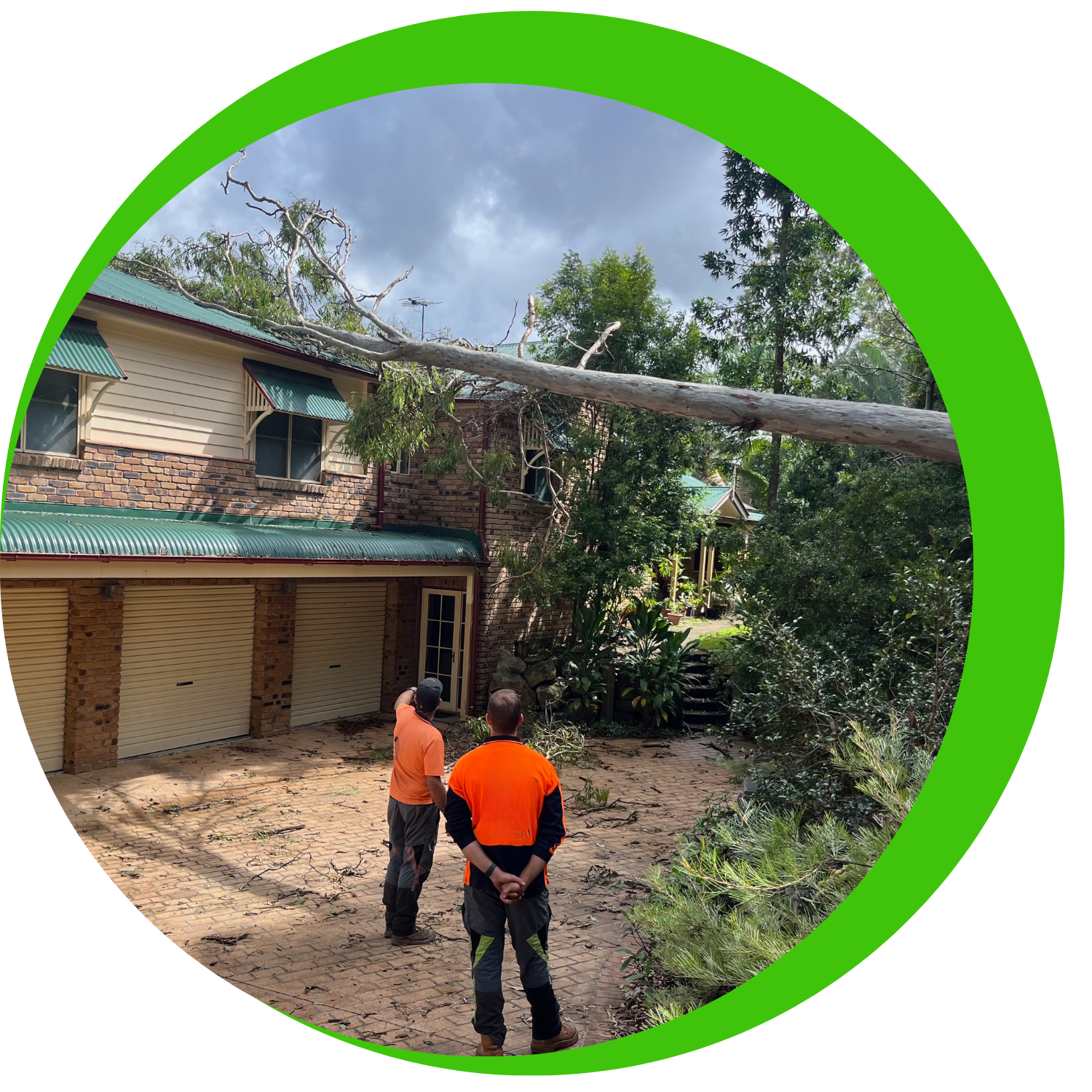 Two tradesmen in high vis workwear are assessing a large tree that has fallen on a house after a huge storm for Sure Assessing.