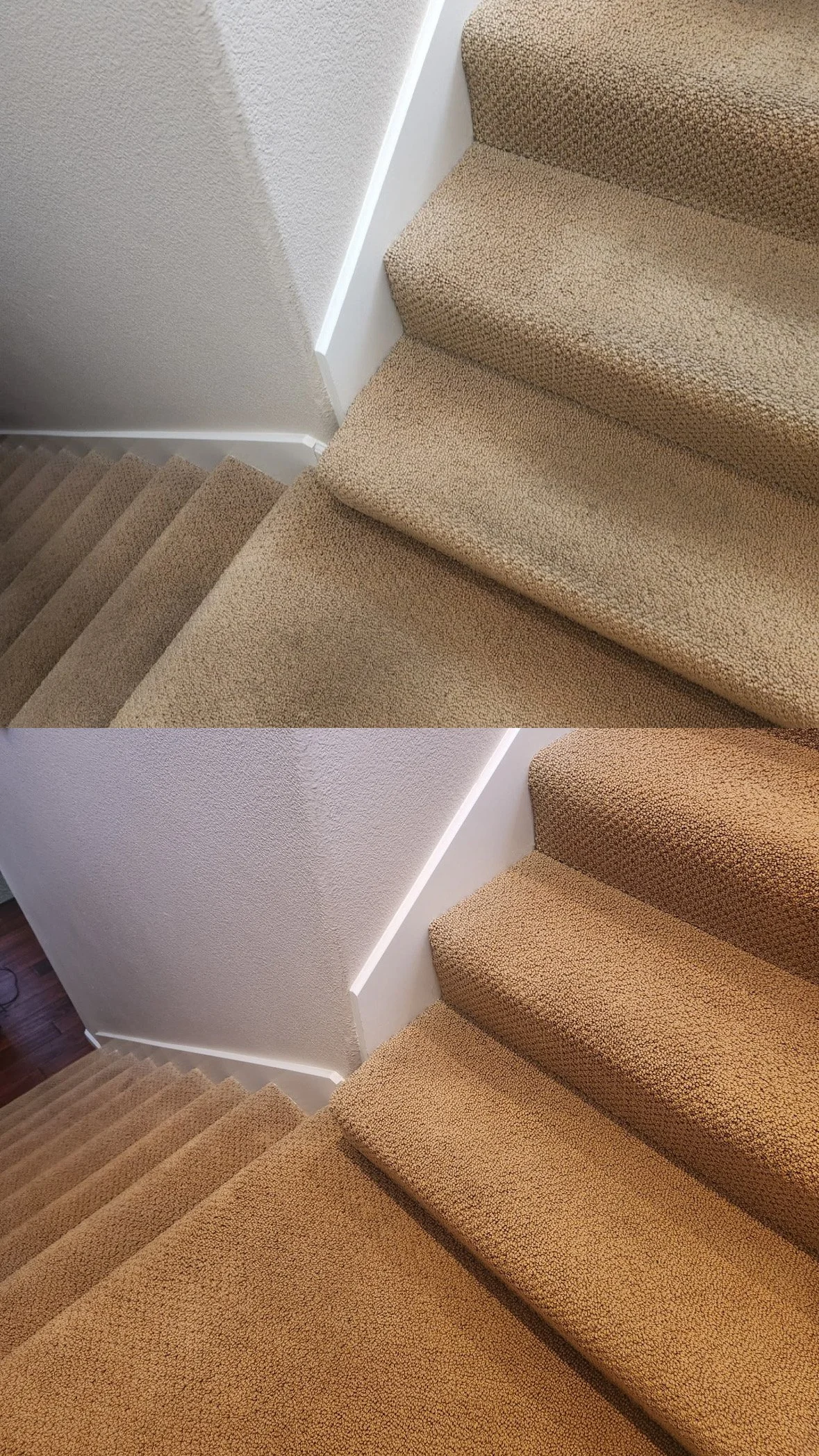 Comparison of a staircase before and after carpet cleaning, showing the stairs and wall. hot water extraction cleaning
