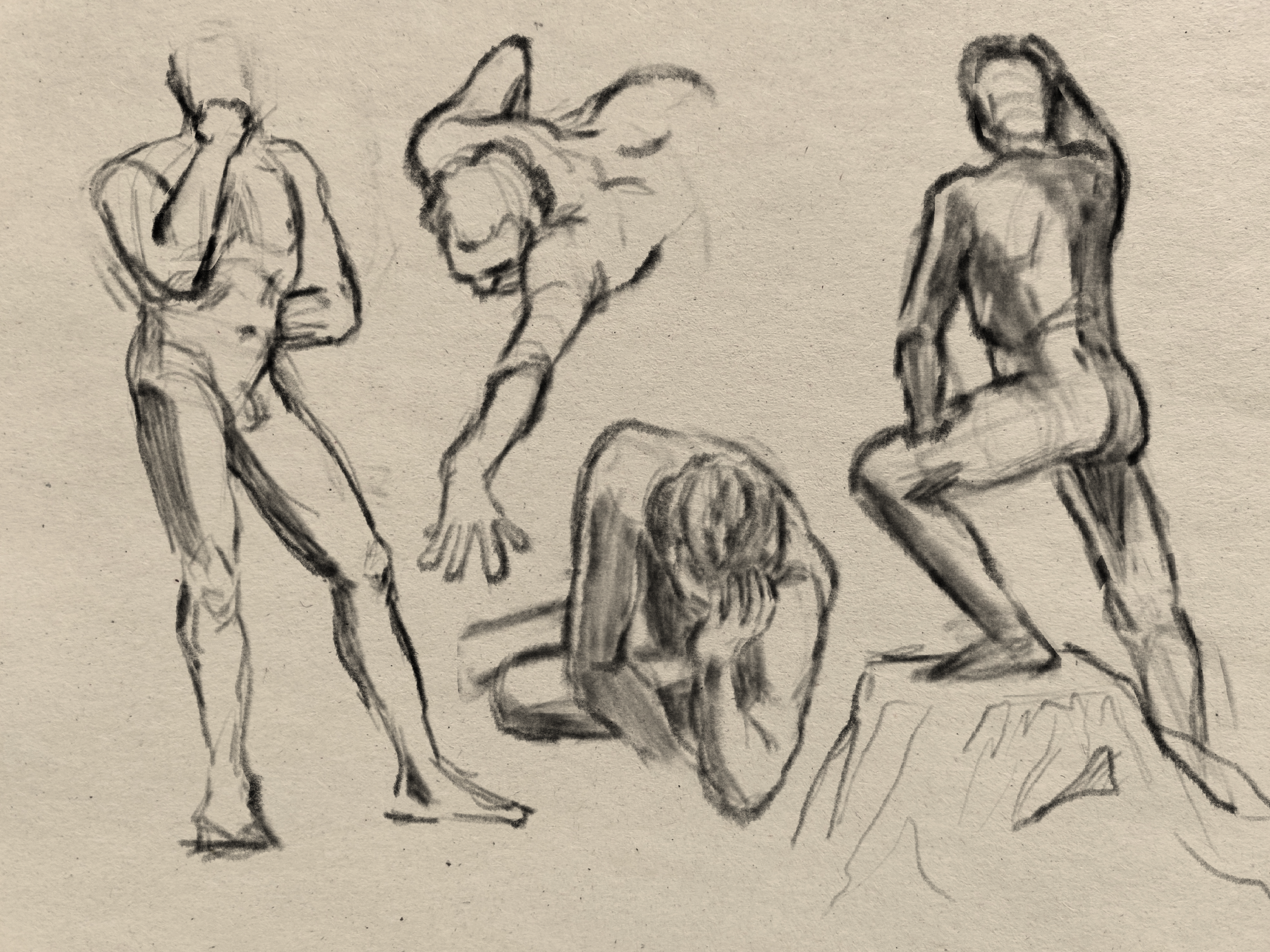 IMG_5343.PNG