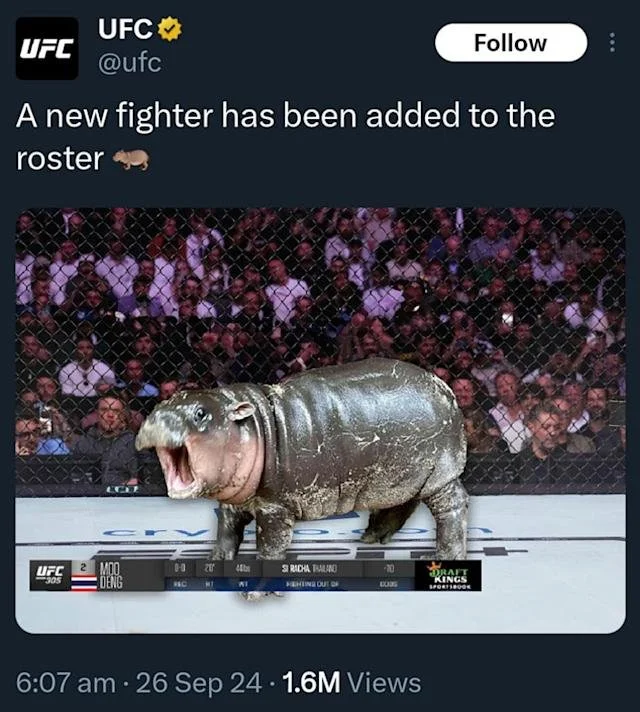 e7a6482328960314e4d86fcc92480111.jpeg