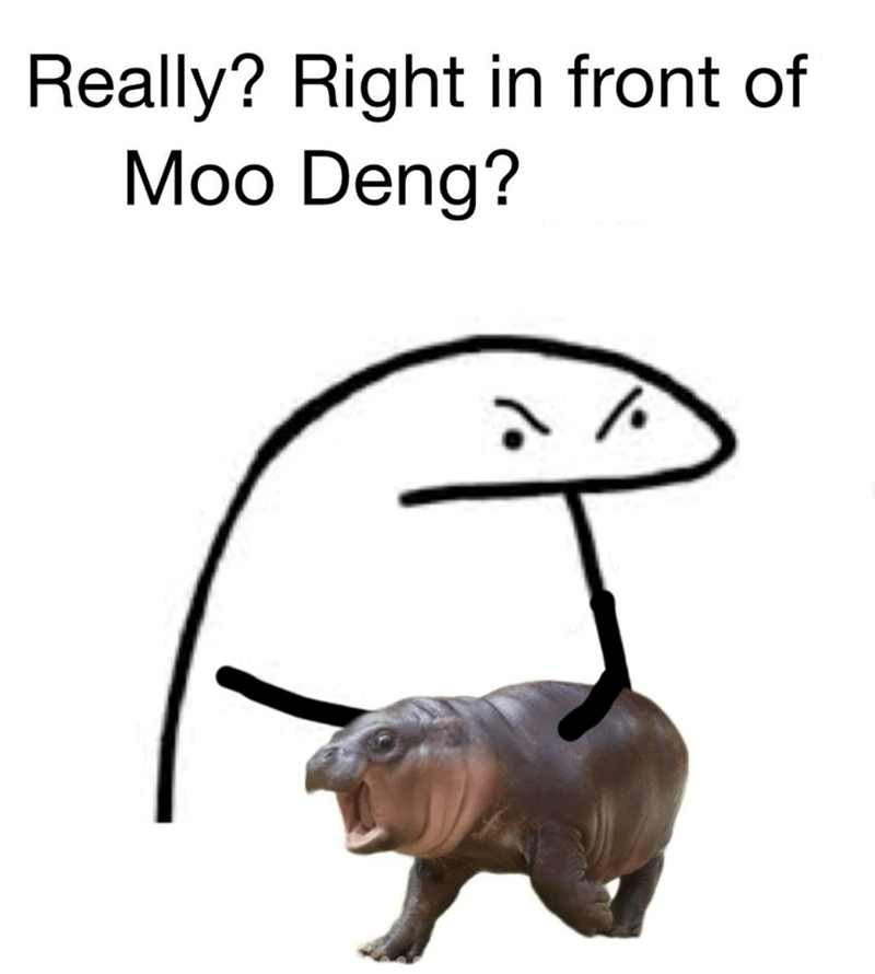 really-right-front-moo-deng.png