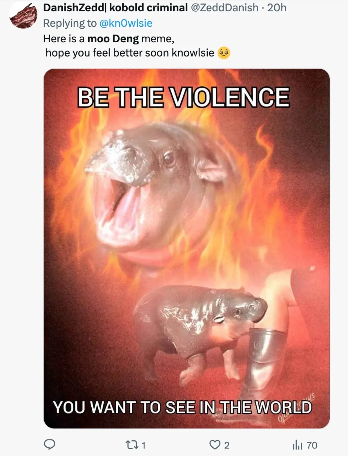 moo-deng-violence.jpeg